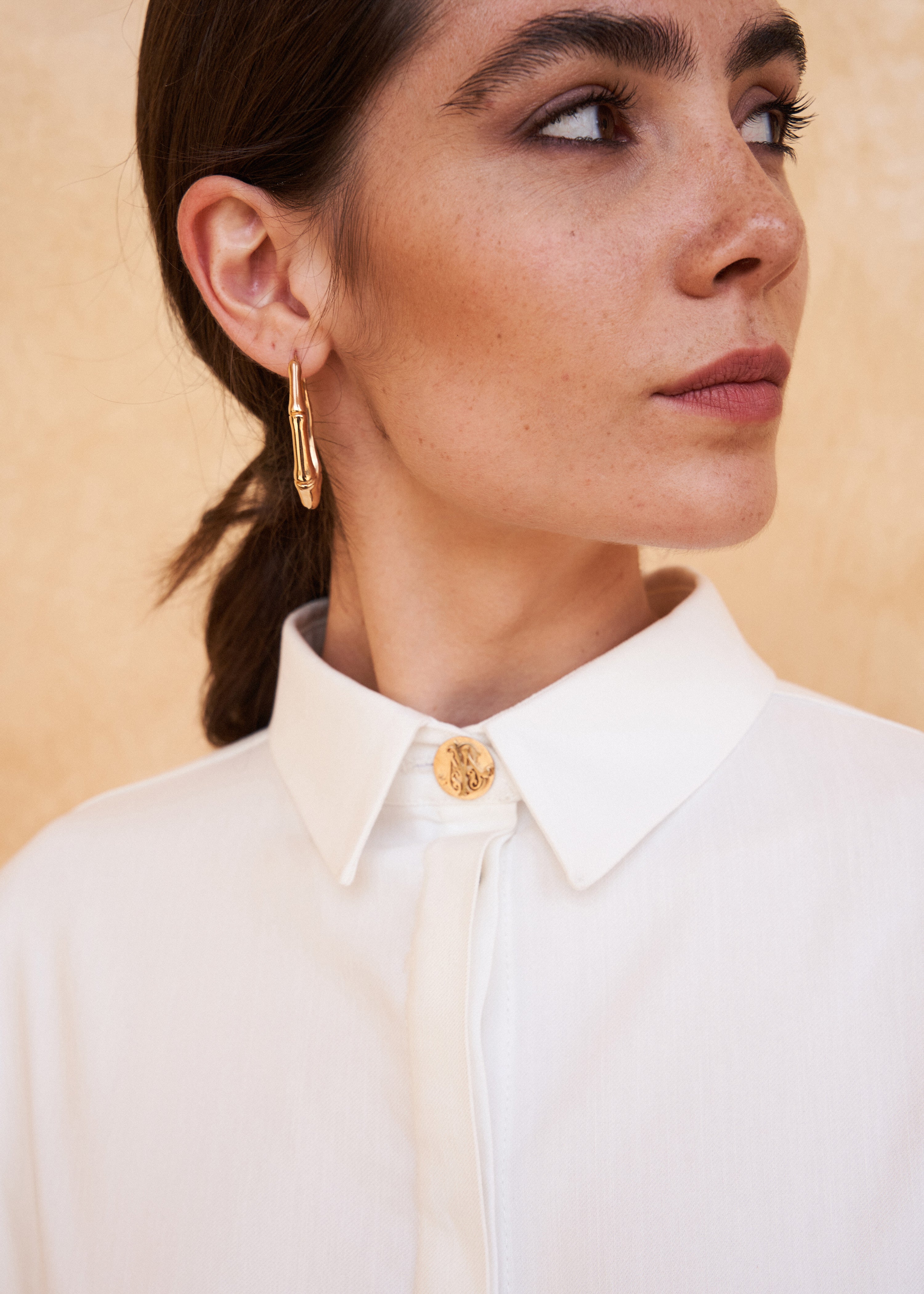 Camicia Raffaello